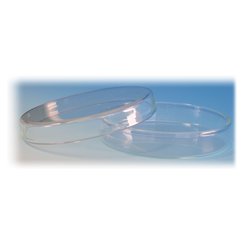 Petrischale mit Deckel 4 x 1.2 cm